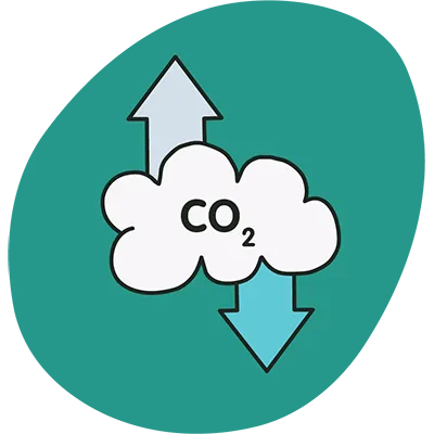Co2 icon